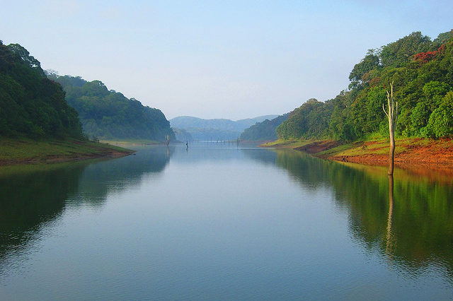 Periyar Tiger Reserve Kerala Tour Package Site Periyar Tiger Reserve Kerala Tour Package Site