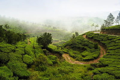 kerala tour packages kerala tour packages